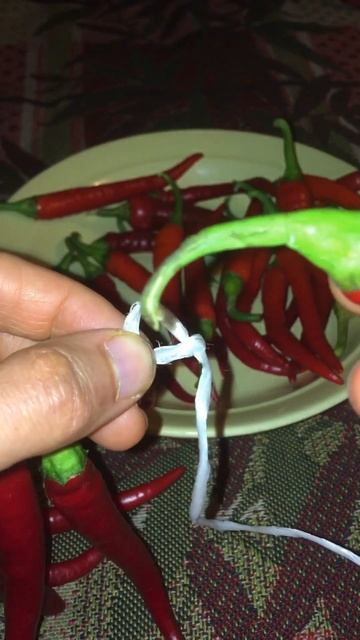 Крепление для сушки красного перца смотреть онлайн