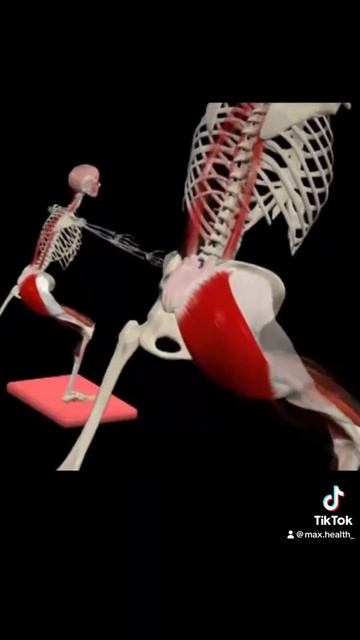 #массаж #массажист #триггер #болит_спина #болит_поясниц смотреть онлайн