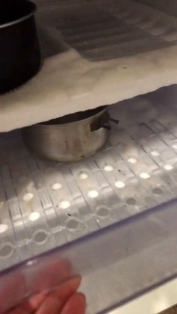 #разморозка холодильника смотреть онлайн