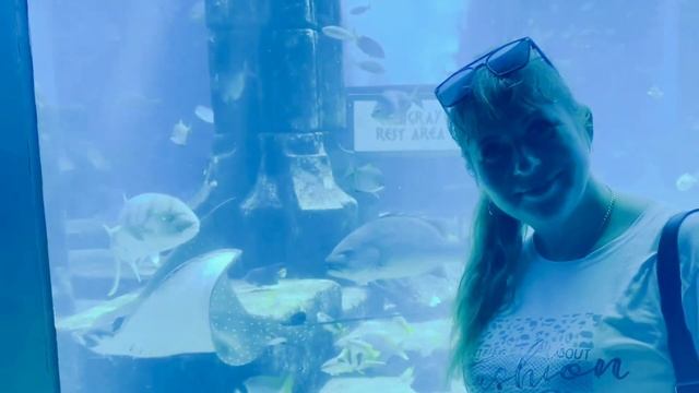 Самый большой аквариум. Dubai. The Palm Отель Atlantis. Краткий о? смотреть онлайн