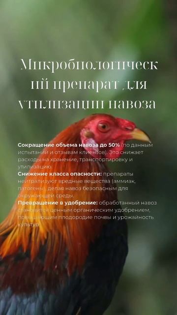 Забудьте о сырости и запахе на ферме! Ваше решение зде? смотреть онлайн