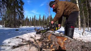 И снова в гости в избушку! Провели газ. Мотособаки тонут, а мы на рыбалку! Хариус как из пулемета.