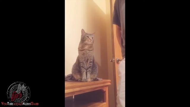 ВИДЕО ПРИКОЛЫ 2016 / Joke Best #2 смотреть онлайн