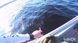 Карелия. д.Чёлмужи.Отдых и рыбалка.