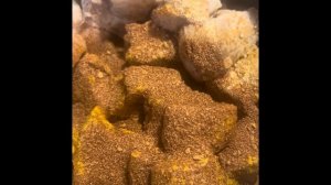 Сало в аэрогриле