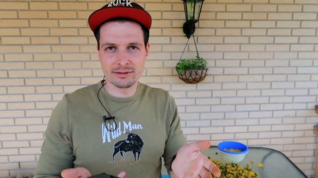 Вино из одуванчиков Пошаговый рецепт