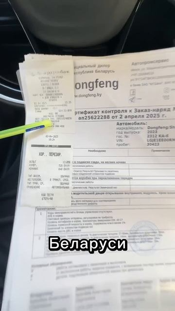 ТО 30 000 км Dongfeng Shine max в 2025 Беларусь #китайскийавтомобил? смотреть онлайн