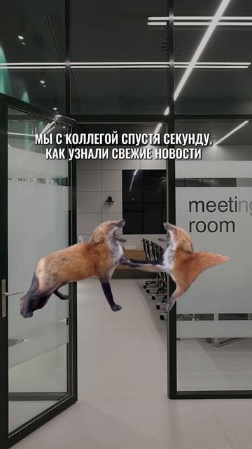 У всех есть такая коллега?  #flyvideo #flyvi #работа смотреть онлайн