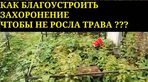 Как установить памятник ? Как благоустроить захоронение и избавится от травы на кладбище ?