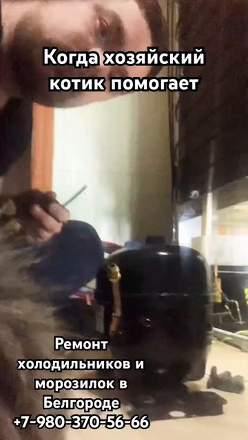 Ремонт холодильников и морозилок в Белгороде #белгоро