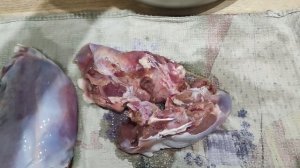 Заяц в духовке сочный рецепт