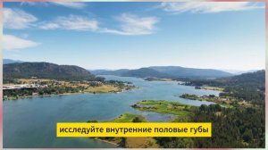 Как сделать вагинальный массаж?