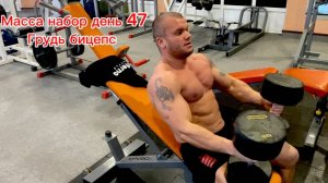 масса набор день 47