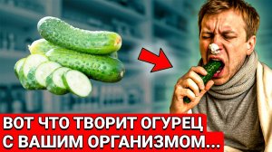 ПОЧЕМУ ОБ ЭТОМ ВСЕ МОЛЧАТ! Вот ЧТО ТВОРИТ Обычный огурец с организмом, даже......