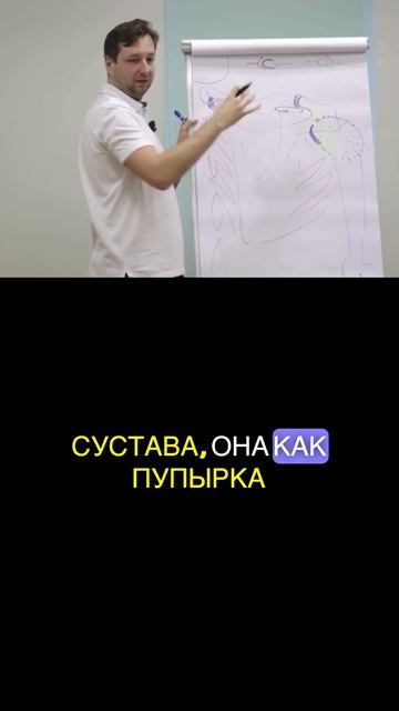 ТИПЫ СУСТАВОВ  #больвшее #массаж #лечебная #реабилитац?