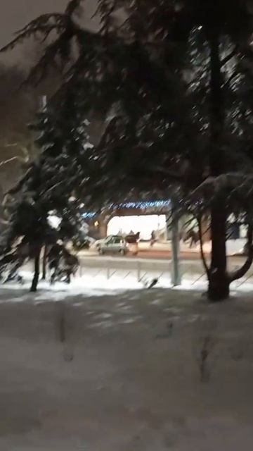 Снежный февраль. 07.02.25 #снег #snow #зима #погода #симферопо смотреть онлайн