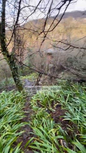 Вот как выглядит двухэтажный дом с землей в Сочи за 1 м? смотреть онлайн