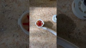 Saeco Lirika помилка 5