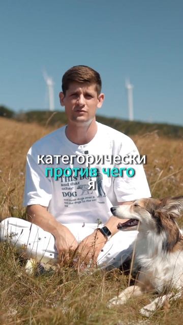 Чем вы кормите собаку? Если сухим кормом, то какой у не? смотреть онлайн