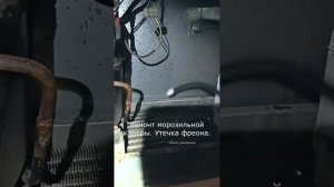 Ремонт морозильной камеры  Утечка фреона