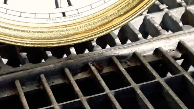 Механические настенные немецкие часы с Боем ! FRANZ HERMLE . смотреть онлайн