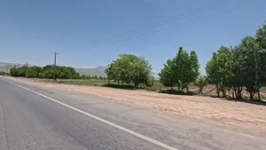Семейный пикник Тайебы и её детей с друзьями на природе.