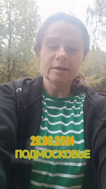 #shorts крыша едет, чудеса погоды, золотая осень 2024 #подмо? смотреть онлайн