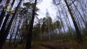 Fpv Nazgûl f4D+cinebot30