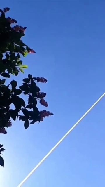 когда-нибудь ты поймёшь что бывают люди, которые никог смотреть онлайн