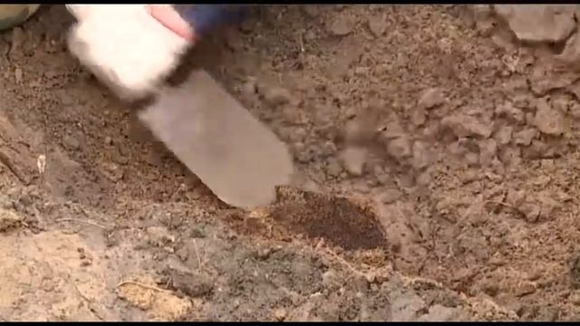 Они сражались за Родину Поисковая экспедиция смотреть онлайн