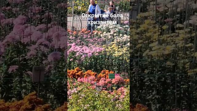 Ялта.Никитский Ботанический сад. 01ноября 2023г. смотреть онлайн