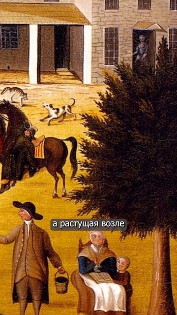 Экспеллиармус! #история #history #science #наука #elderberry  #бузин? смотреть онлайн