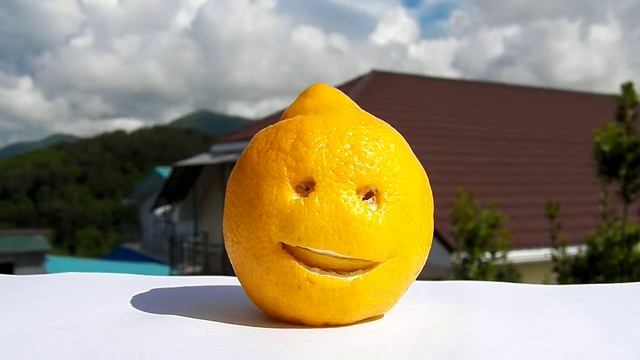 С ДНЁМ РОЖДЕНЬЯ ЛИЗА ОТ ЛИМОНЫЧА смотреть онлайн