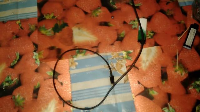 Утро добрым не бывает😂 смотреть онлайн