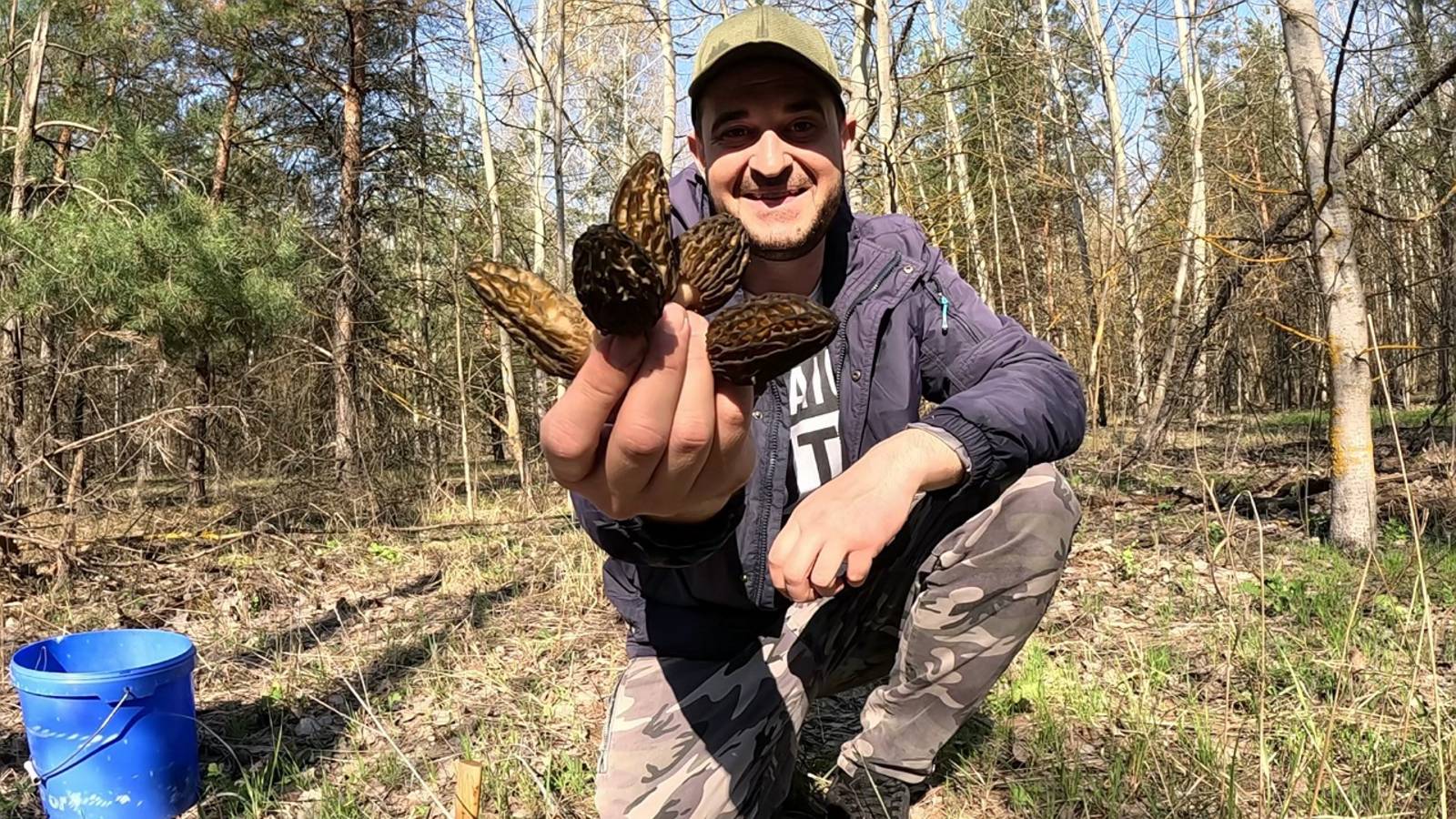 ГРИБНОЕ СЧАСТЬЕ!! Новый лес полон грибов. Сбор грибов весной