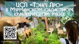 ЦСП Тэнгу Про в Мурманском областном краеведческом музее