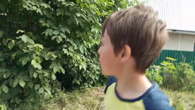 собаки в первой части которых не было но там было напи?