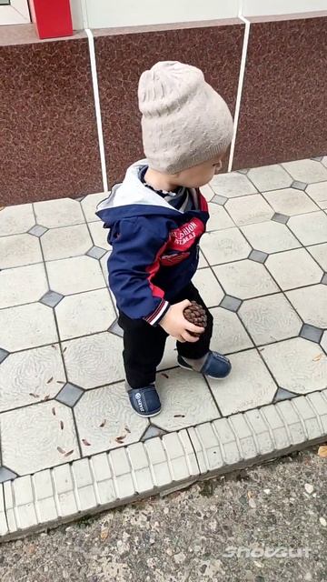 дастает семена шишки и каштана смотреть онлайн