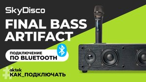 КАРАОКЕ-СИСТЕМА ДЛЯ ДОМА С БЕСПРОВОДНЫМИ МИКРОФОНАМИ SKYDISCO FINAL BASS ARTIFACT