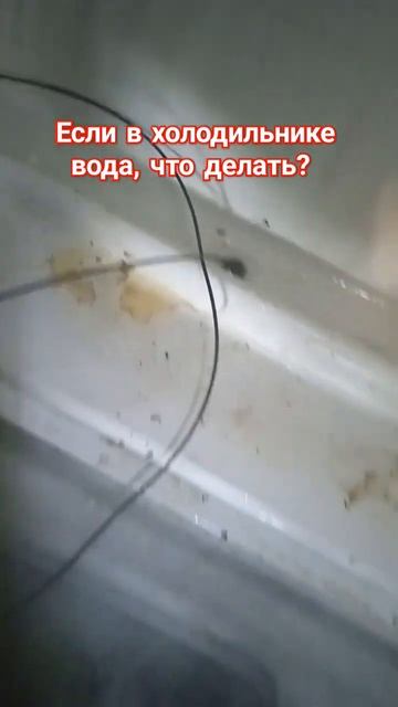Чистим дренажный канал холодильника Атлант #ремонтст?