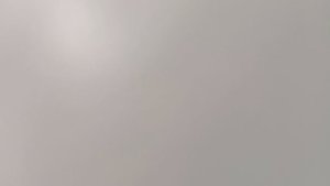 Котики и мемы