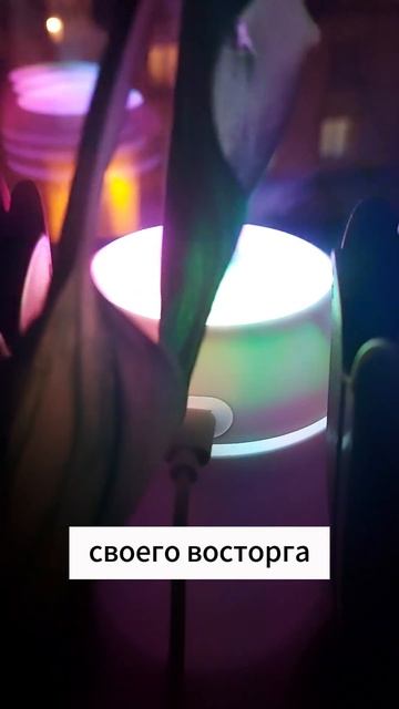 Увлажнитель воздуха мини OZON/ АРТ: 1421814259 смотреть онлайн