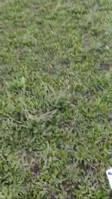 ✅петарда P23 + страйкбольная граната смотреть онлайн