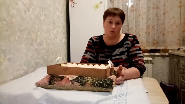 Лучший РЕЗУЛЬТАТ инкубации. Суточные цыплята, кормлен смотреть онлайн