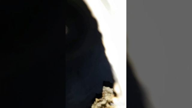 ПроПочинку.Бойлер Аристон.Замена тэна.Фильм4.Серия4. смотреть онлайн