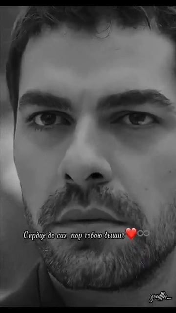 Сердце до сих пор тобою дышит ❤️🖇️        #иранскиепес? смотреть онлайн