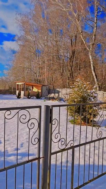 #цветы #сад #garden #гортензия #розы #морозники #зима смотреть онлайн