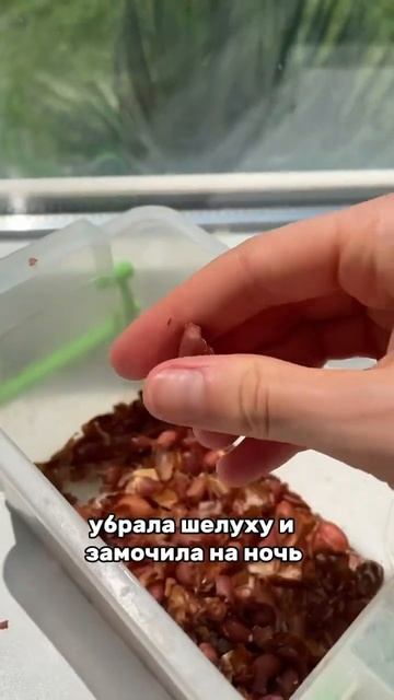 АРАХИСОВАЯ ПАСТА ДОМА 🥜 #питание #арахисоваяпаста #ар