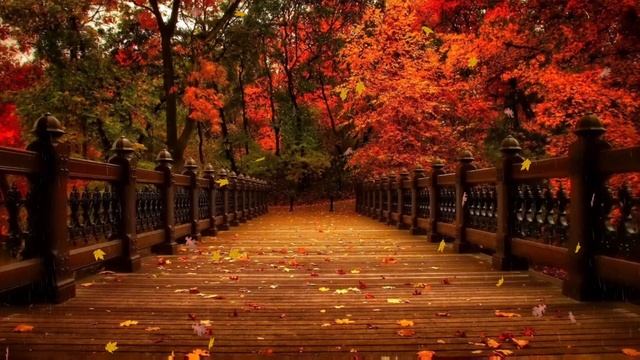 Точный гороскоп на 22 октября. Для каждого знака зодиак смотреть онлайн