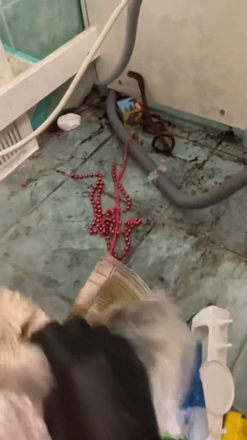 Зловещее место за стиральной машинкой смотреть онлайн